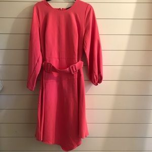 Eloquii Hot pink Dress